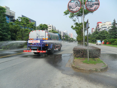 ��ˮ��Ѽ��