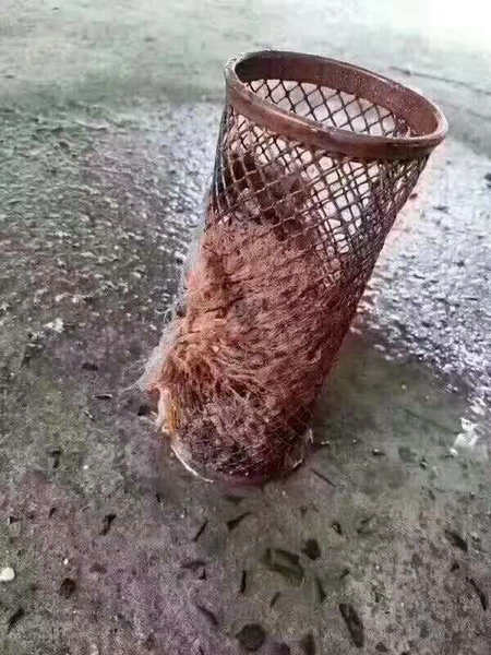 ��ˮ����������